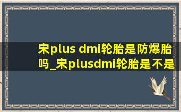 宋plus dmi轮胎是防爆胎吗_宋plusdmi轮胎是不是防爆轮胎